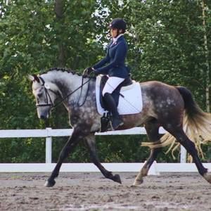 Meet your Posher, Alex